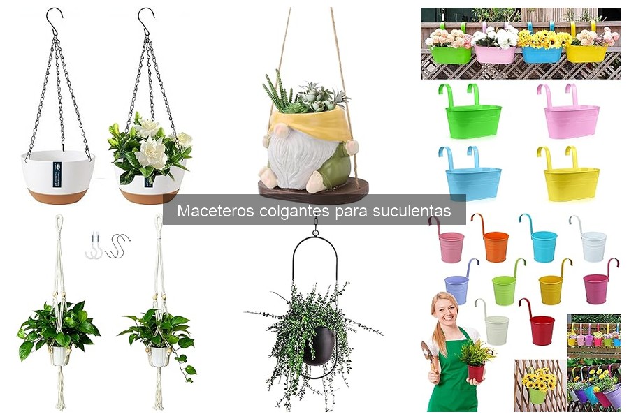 Dónde comprar maceteros colgantes para suculentas al mejor precio