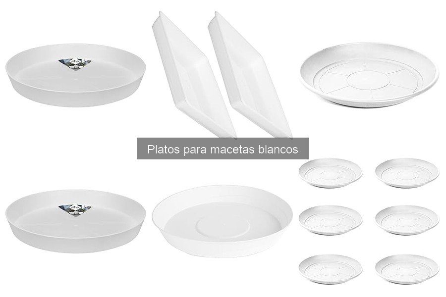 Dónde comprar platos para macetas blancos económicos y de calidad