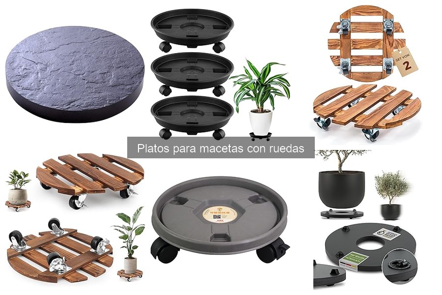 Dónde comprar platos para macetas con ruedas fácilmente