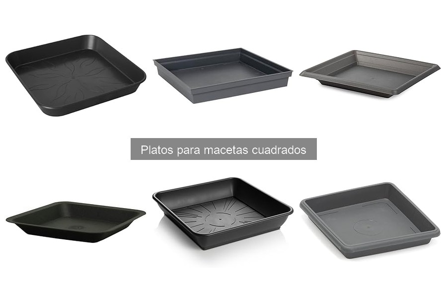 ** Dónde comprar platos para macetas cuadrados: opciones online y físicas