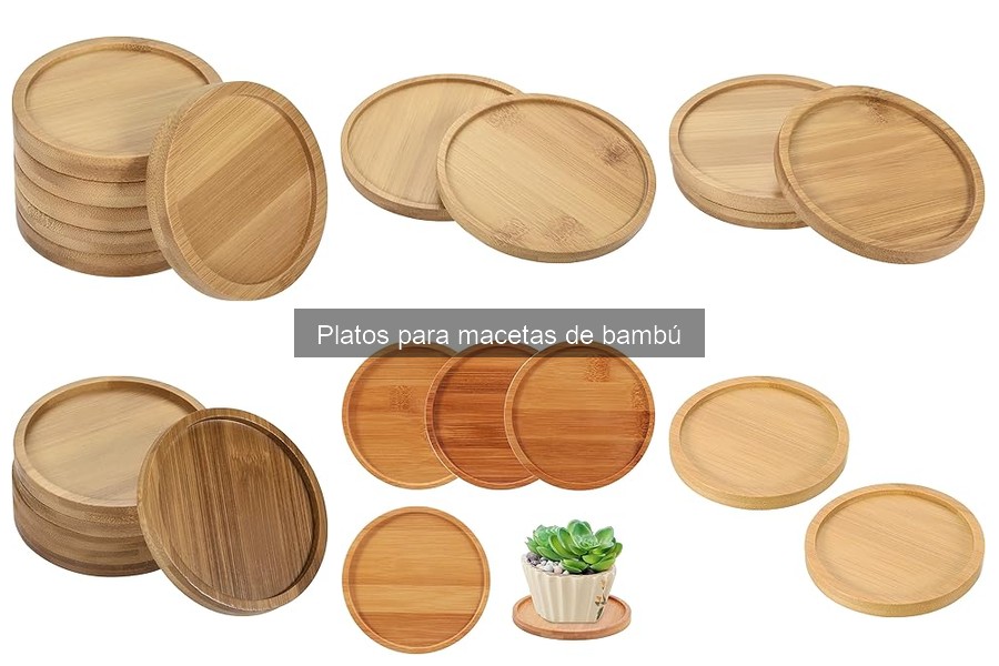 Dónde comprar platos para macetas de bambú a buen precio