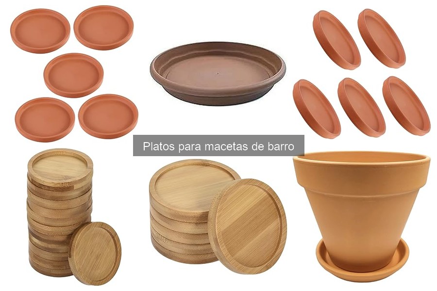 Dónde Comprar Platos para Macetas de Barro: Mejores Opciones