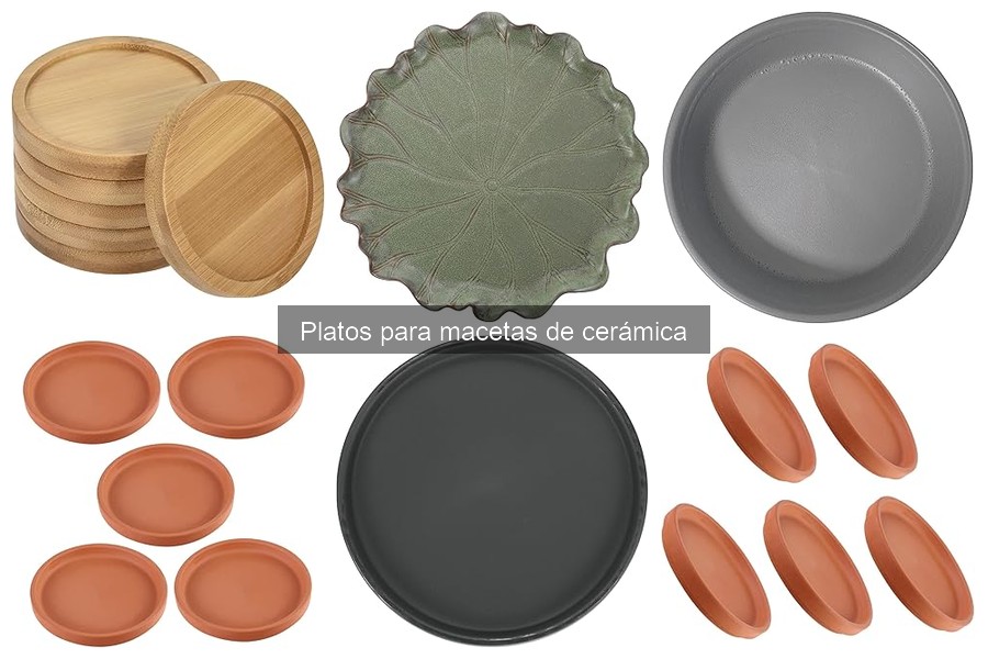 Dónde comprar platos para macetas de cerámica con ofertas