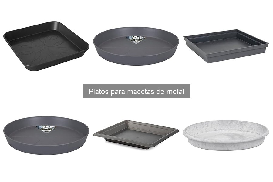 Dónde comprar platos para macetas de metal: opciones y ofertas
