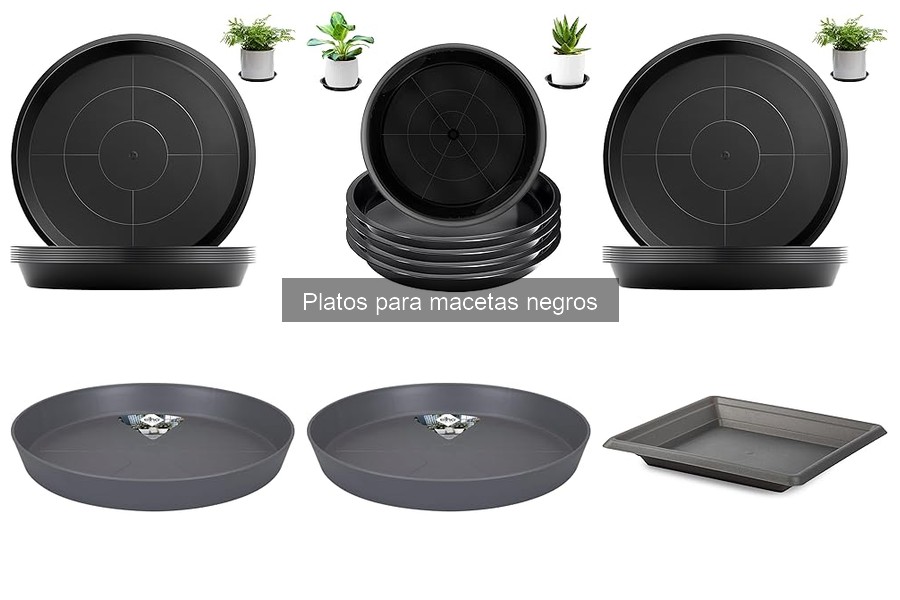 Dónde comprar platos para macetas negros al mejor precio