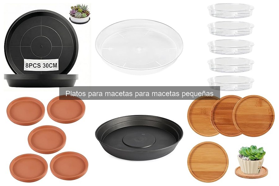 Dónde comprar platos para macetas pequeñas: opciones y precios