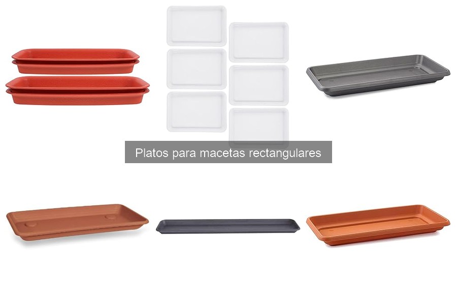 Dónde comprar platos para macetas rectangulares baratos