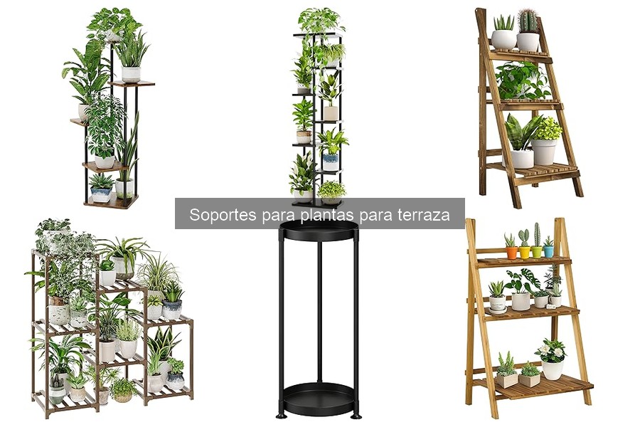 Dónde comprar soportes para plantas a buen precio