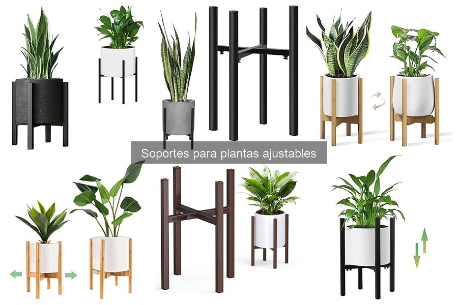 Dónde comprar soportes para plantas ajustables: mejores opciones