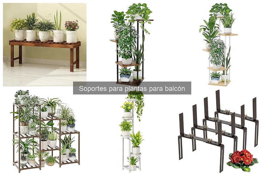 Dónde comprar soportes para plantas al mejor precio