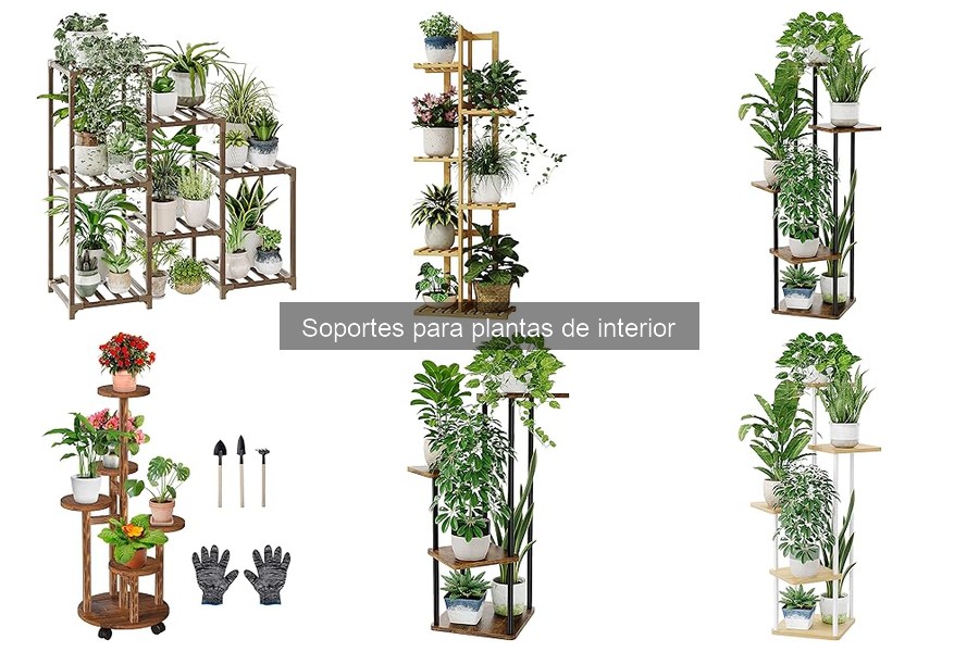 Dónde comprar soportes para plantas de interior en línea