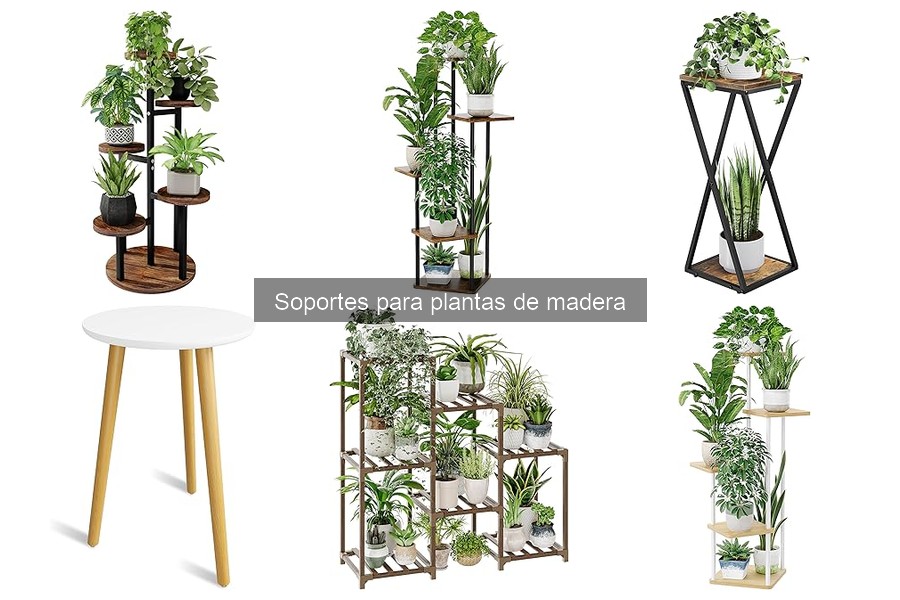 Dónde comprar soportes para plantas de madera fácilmente