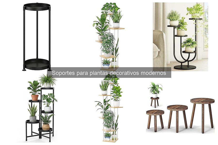 Dónde comprar soportes para plantas decorativos modernos