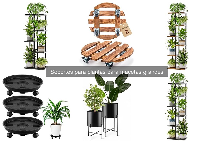 Dónde comprar soportes para plantas grandes: mejores tiendas