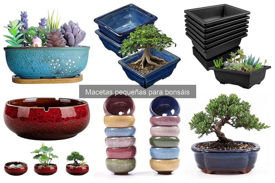 Drenaje en macetas pequeñas para bonsáis: aspectos clave