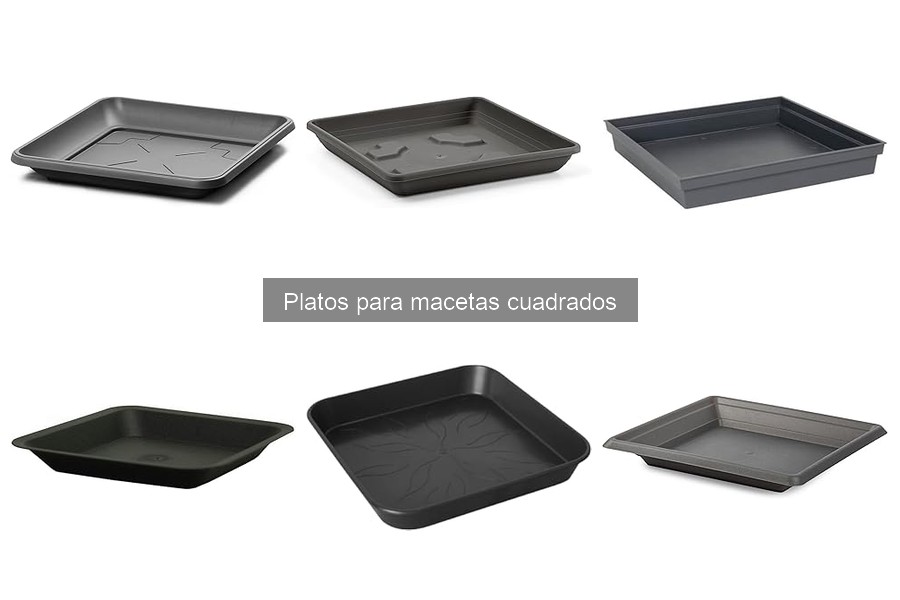 Durabilidad de Platos para Macetas Cuadrados: ¿Cuánto Duran?