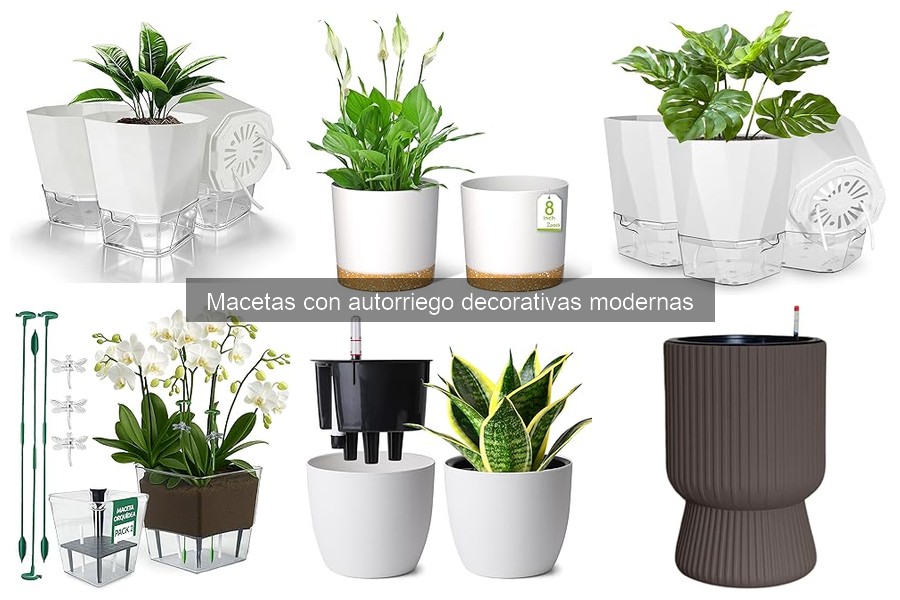 Efectividad de las Macetas con Autorriego para Plantas Específicas