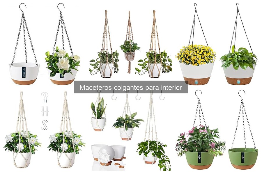 Efectos del clima y luz en maceteros colgantes para interior