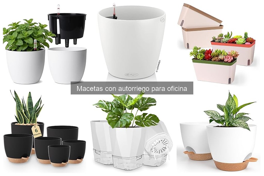 Eficiencia de macetas con autorriego frente al riego manual