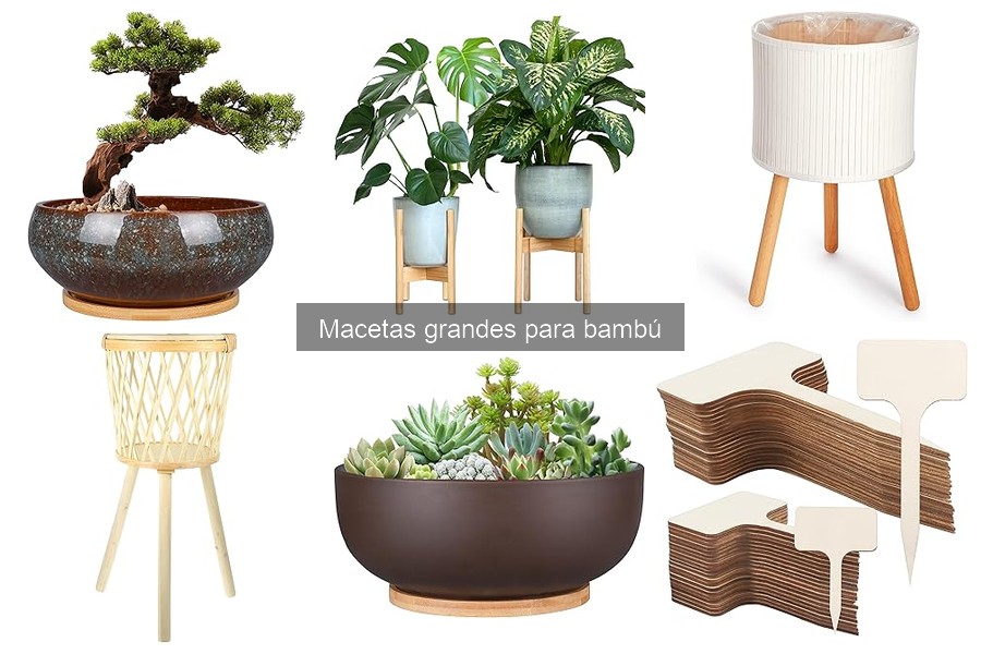 El mejor sustrato para macetas grandes de bambú
