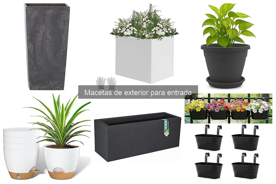 Elige la maceta de exterior perfecta para tu entrada