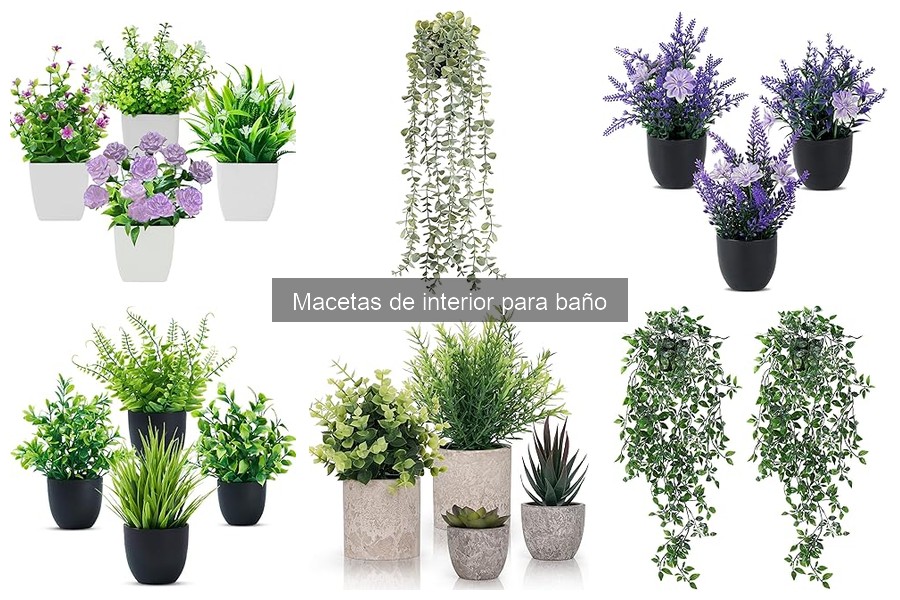 Errores a Evitar al Colocar Macetas en el Baño