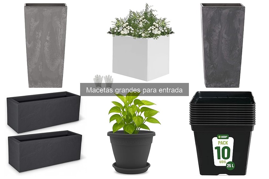 Errores comunes al colocar macetas grandes en la entrada