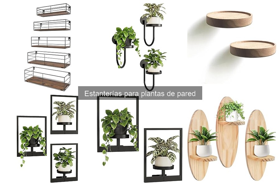 Errores comunes al comprar estanterías para plantas de pared