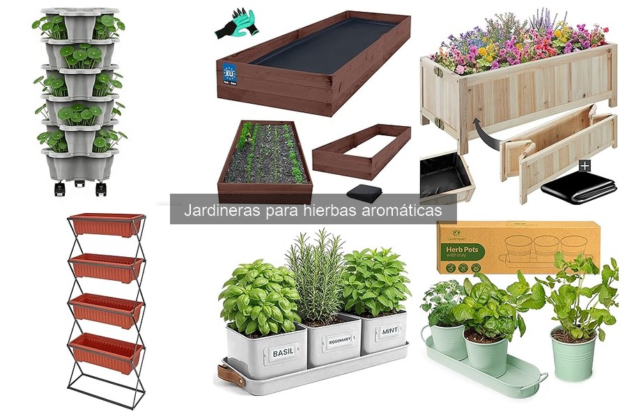 Errores comunes al cultivar hierbas aromáticas en jardineras
