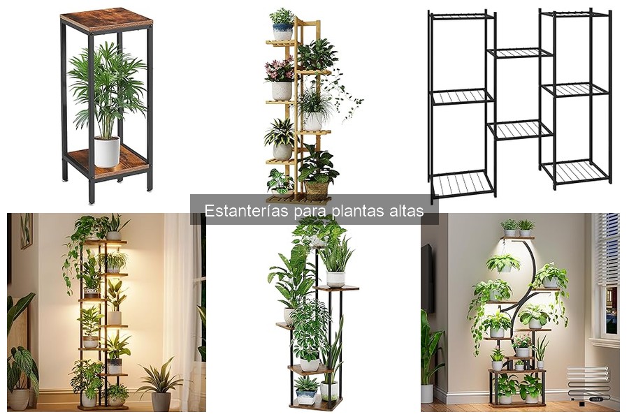 Errores comunes al elegir estanterías para plantas altas