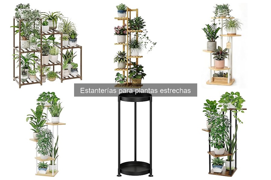 Errores comunes al elegir estanterías para plantas estrechas