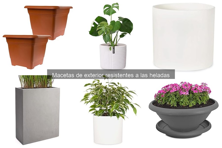 Errores comunes al elegir macetas de exterior resistentes a las heladas
