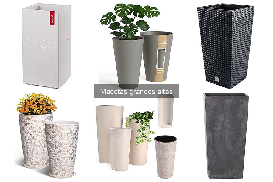 Errores comunes al elegir macetas grandes altas para tus plantas