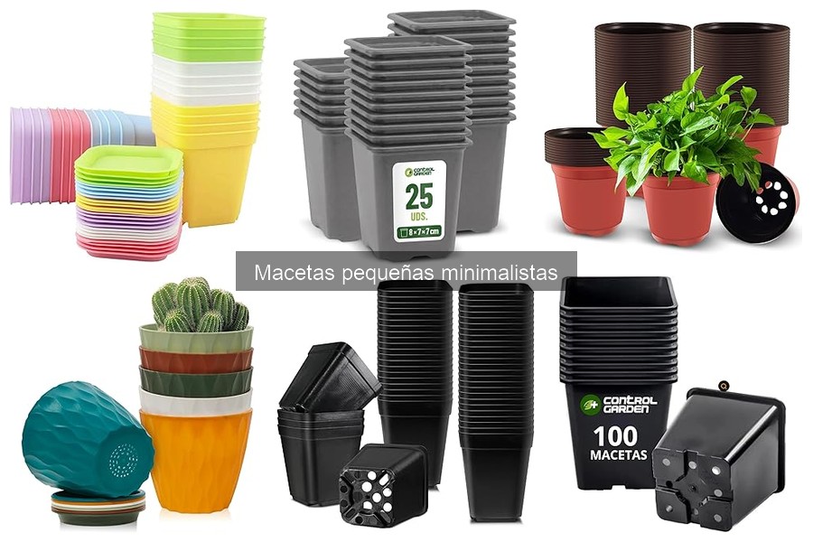 Errores comunes al elegir macetas pequeñas minimalistas