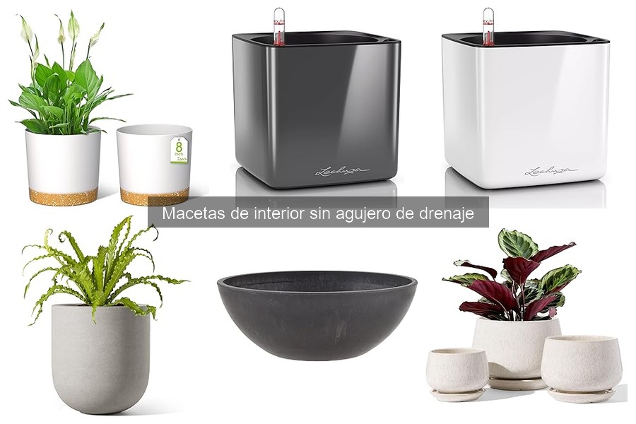 Errores comunes al elegir macetas sin drenaje para interior