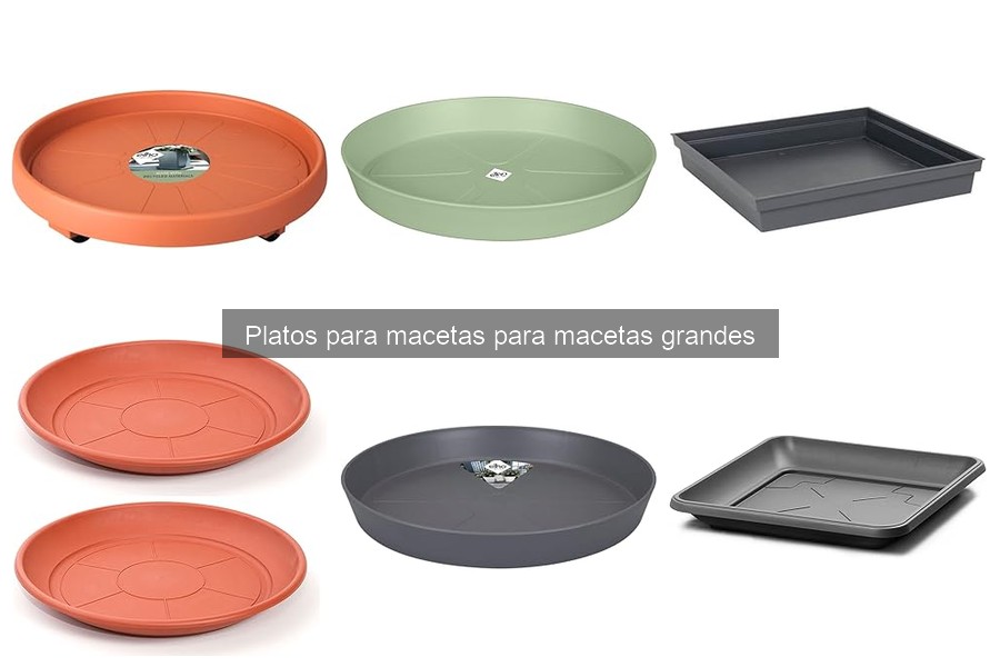 Errores comunes al elegir platos para macetas grandes