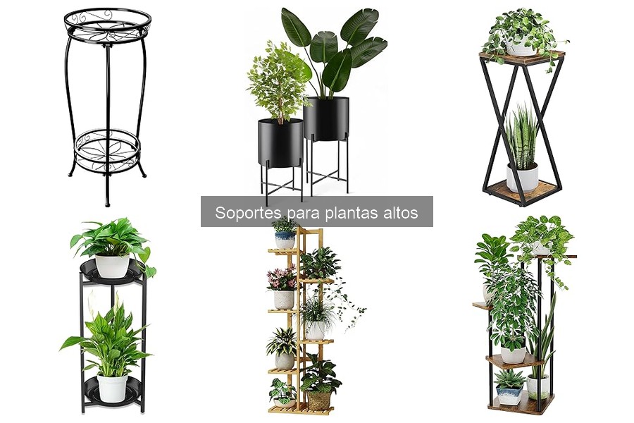 Errores comunes al elegir soportes para plantas altos