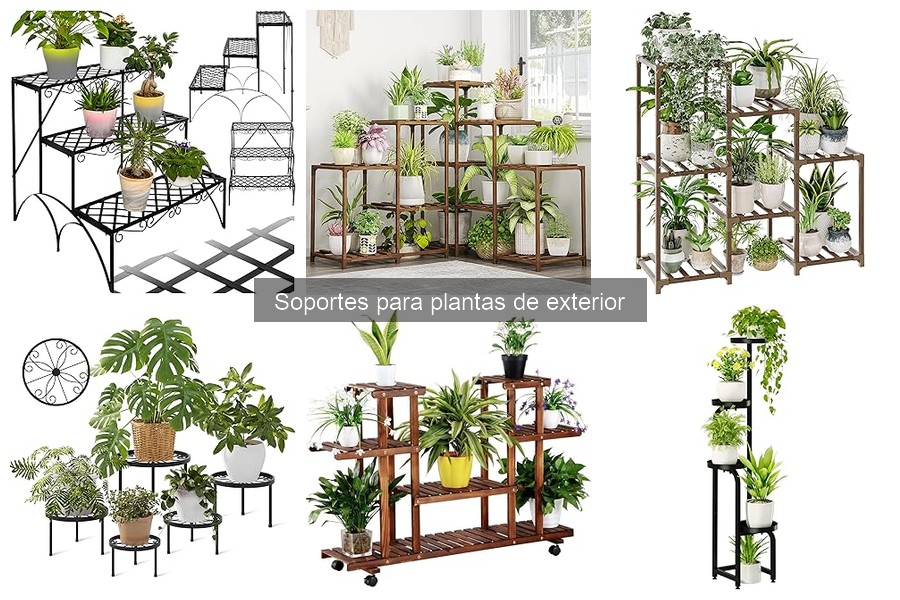 Errores comunes al elegir soportes para plantas de exterior