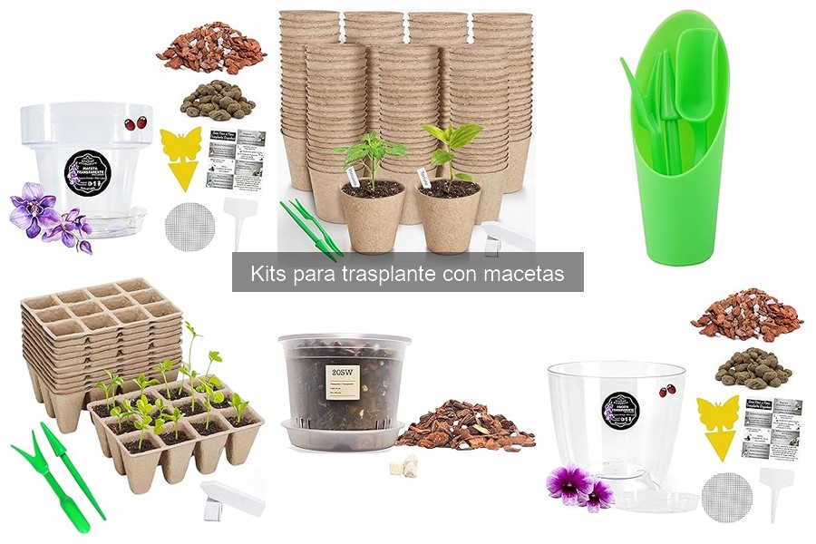 Errores comunes al elegir un kit para trasplante de macetas