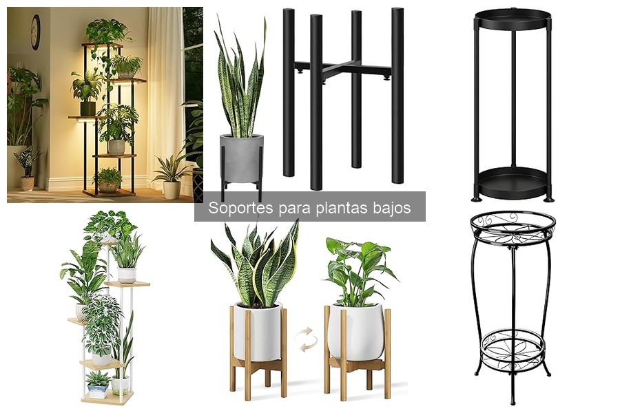 Errores comunes al seleccionar soportes para plantas bajos