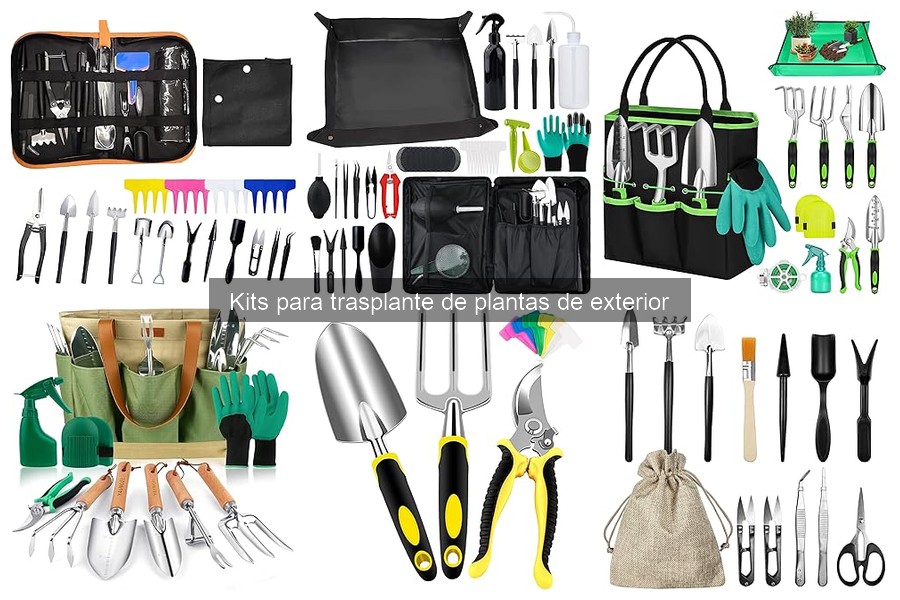 Errores Comunes al Trasplantar Plantas con Kits de Jardinería