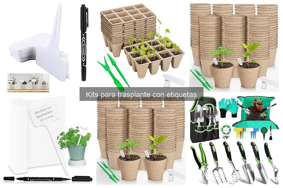 ** Errores comunes al usar kits de trasplante con etiquetas