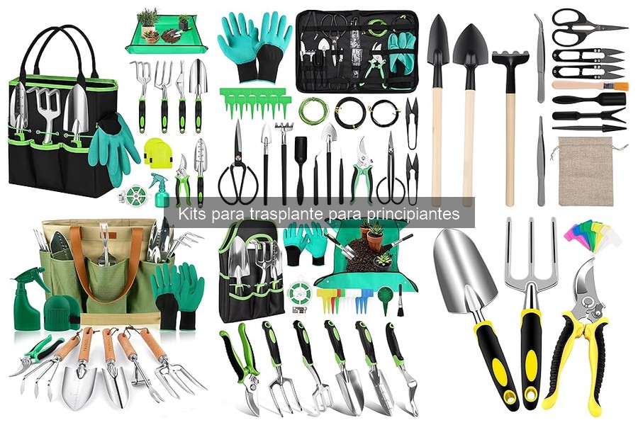 Errores comunes al usar kits de trasplante para principiantes