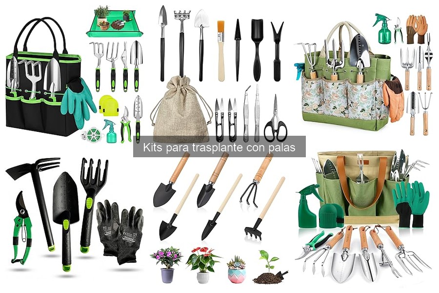 Errores comunes al usar kits para trasplante de plantas