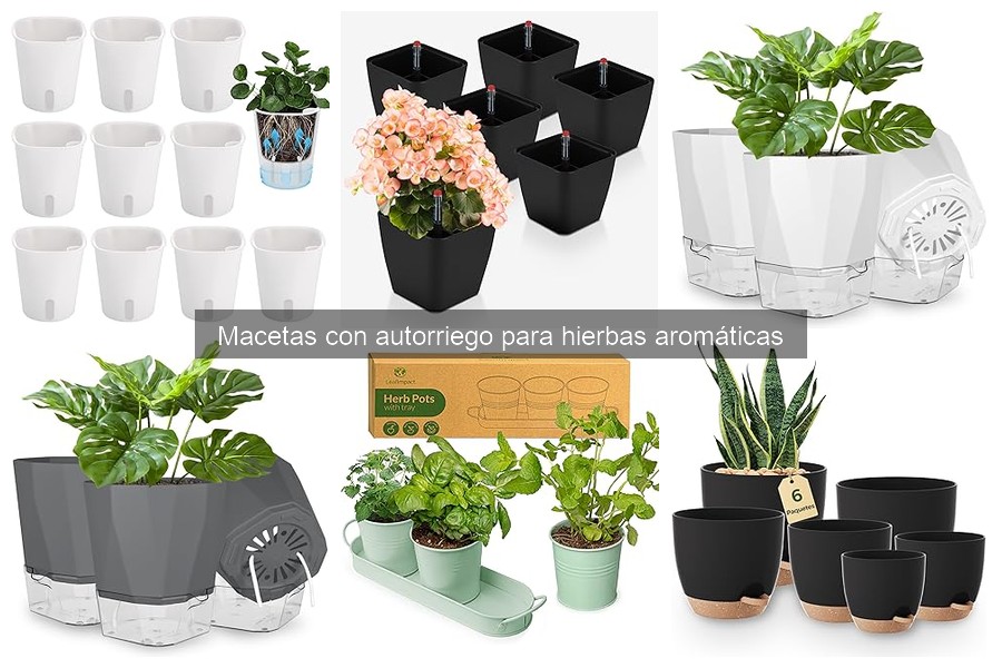 Errores comunes al usar macetas con autorriego