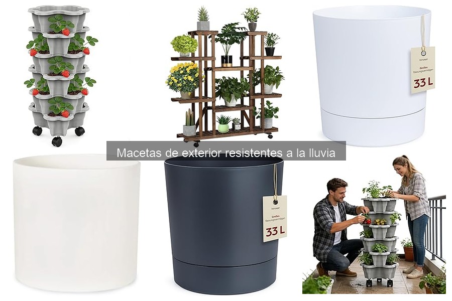 Errores comunes al usar macetas de exterior en invierno