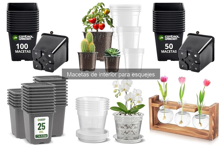 Errores comunes al usar macetas de interior para esquejes