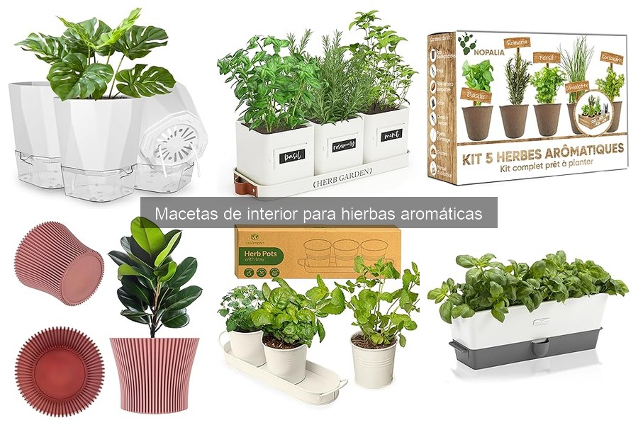 Errores comunes al usar macetas de interior para hierbas
