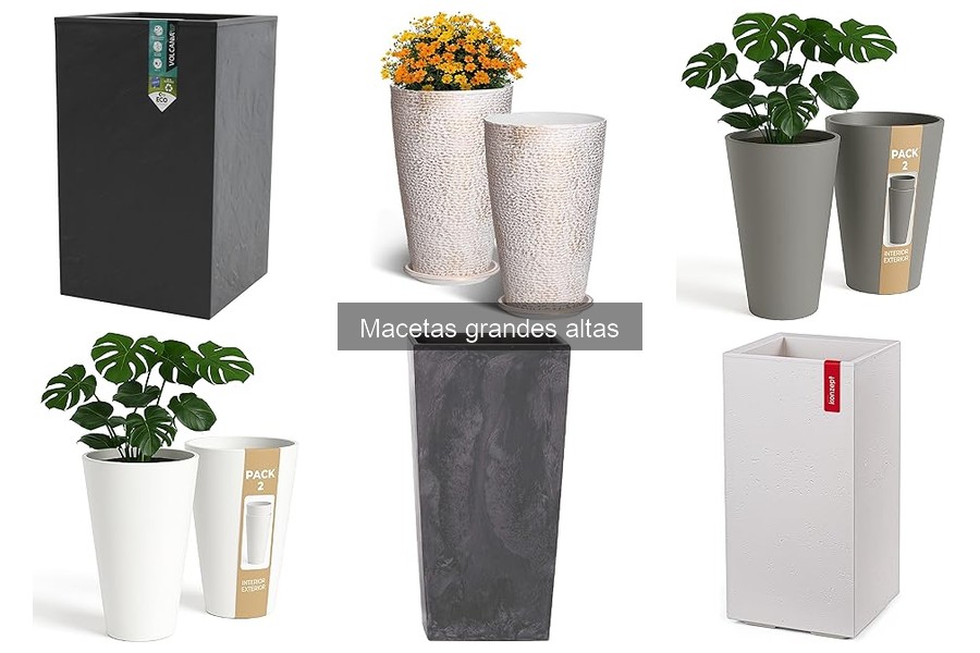 Errores comunes al usar macetas grandes altas para tus plantas