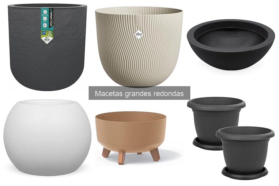 Errores comunes al usar macetas grandes redondas